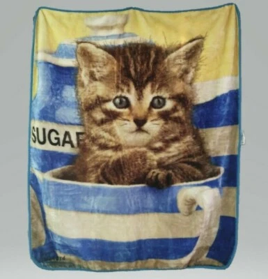 Tiny Tabby Kitten in Tea Cup Plush Throw Blanket 50X60 Greg Cuddiford Northwest - Image 1 of 3