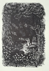 Night Fishing In A Pool : Print Of A Fishing Woodcut By Lindley C1960