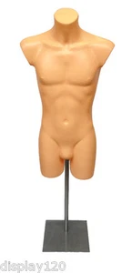 Male Display Mannequin on Adjustable Stand Sportswear Swimwear Torso Bust Flesh - Picture 1 of 3