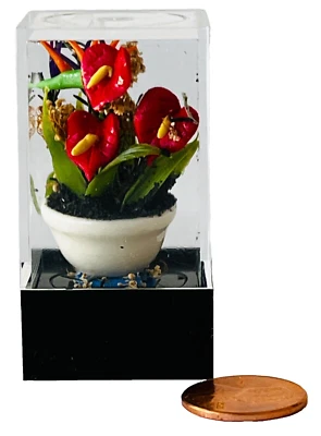Dollhouse Miniature Red Anthurium Plant in White Pot Inside Plastic Box 2.25" - Image 1 of 4