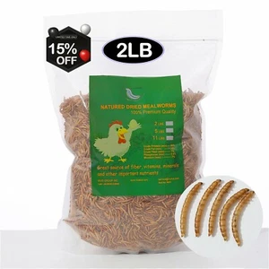 Chicken Treat Mealworms 1-11lbs 100% Non-GMO Dried - High-Protein - Picture 1 of 40