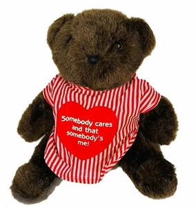 Vintage Summit Collection 1991 Teddy Bear Plush Brown Red Care Shirt 12" - Picture 1 of 6