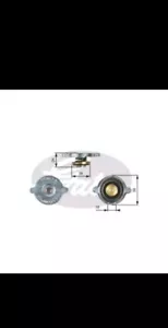 Radiator Cap RC113 Gates 17111100848 17111102672 17111120062 1508310 623086 New - Picture 1 of 1