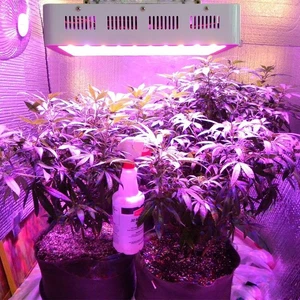 BOSSLED 300W LED Grow Light Panel Full Spectrum Indoor Hydroponics Plants Veg - Picture 1 of 10