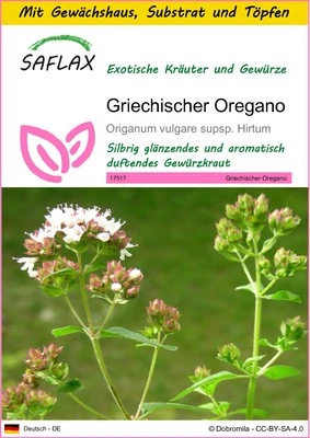 SAFLAX - Anzuchtset - Griechischer Oregano - 600 Samen - Bild 1 von 4
