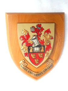 PLACA DE PARED/CRESTA/ESCUDO MAGEE UNIVERSITY COLLEGE (ULSTER UNIVERSITY) - Imagen 1 de 1