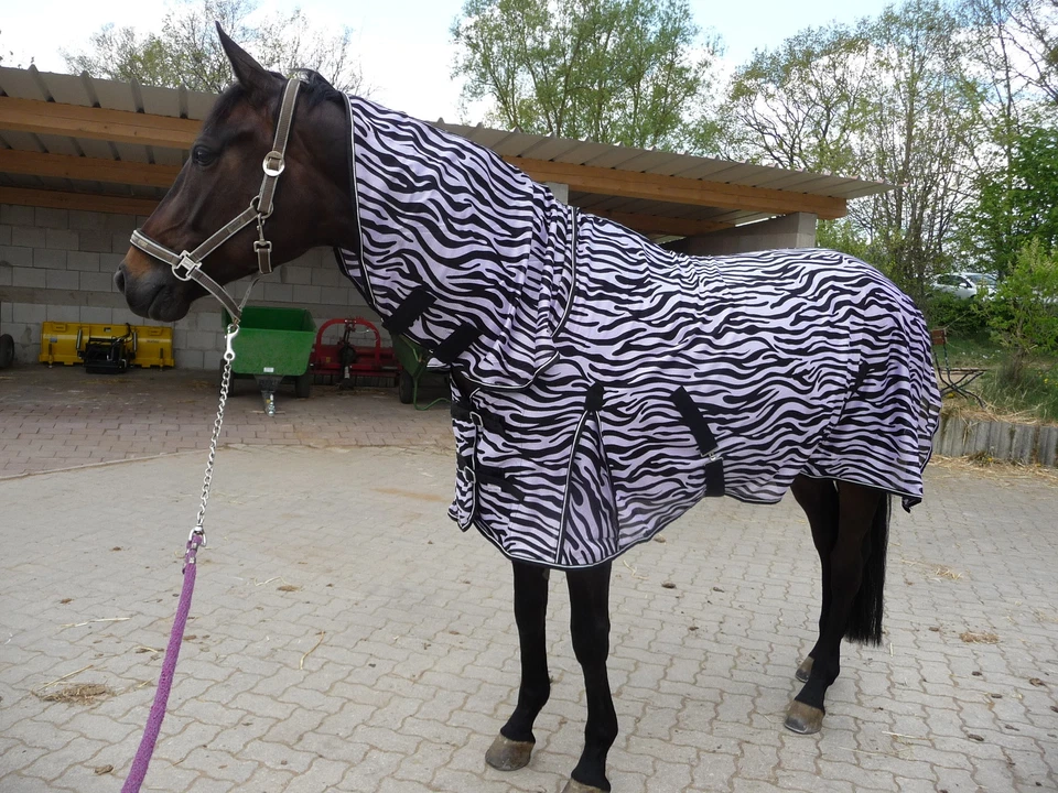 **FLIEGENDECKE**ZEBRA 165 cm für die Koppel- NEU mit Halsteil - Bild 1 von 1