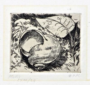 Carl Torsten Holmstrom (1884-1946) SNAILSHELL - HELIX Scandinavian Etching - Picture 1 of 4