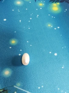 Perla suelta blanca barroca natural de 5-6 mm perforada - Imagen 1 de 1