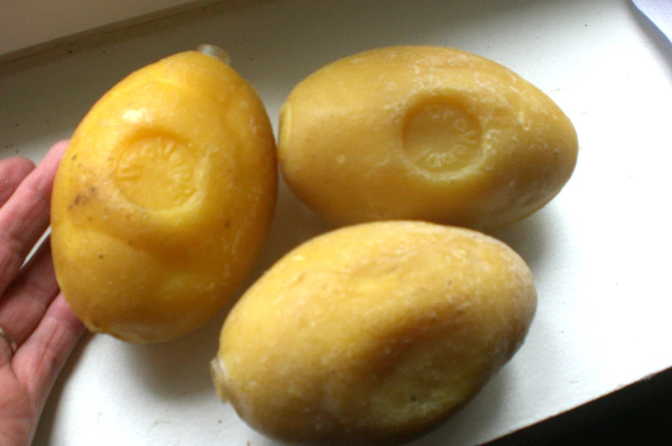 lot de 3 savons ateliers citron pour porte savon à vis PROVENDI. occasion, - Photo 1/4