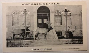 Ouray Lodge Nr 492 BPO Elks Ouray Colorado Litho Foto von Beverly Spencer - Bild 1 von 2