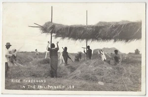 1920 Filipinos Dreschreis - ECHTFOTO Landwirtschaft Landwirtschaft auf den Philippinen - Bild 1 von 2