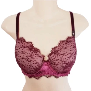 Victoria Secret Dream Angels Push Up Bra Size 32DD Burgundy Lace New - Picture 1 of 5