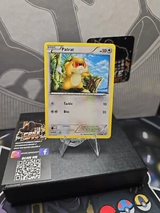 Patrat - 77/114 - Common - Pokémon Black and White Base - Picture 1 of 2