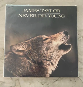 James Taylor Never Die Young LP Columbia 1988 VG+ Vinyl - Foto 1 di 2