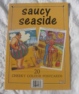 Vintage Saucy Seaside Bezczelne kolorowe pocztówki od Aldino Limited 1993, 20 w książce