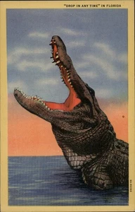 Florida Alligator Postcard - Vintage Linen Tropical Series - Picture 1 of 2