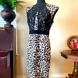 new york and company dress medium midi leopard print black lace work office - Picture 1 of 8
