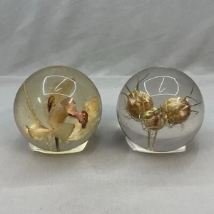 Paquete de pisapapeles de vidrio vintage x2 con flores reales - Imagen 1 de 14