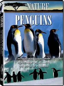 Penguins of the Antarctic + The World of Penguins - Double Feature Documentaries - Bild 1 von 2