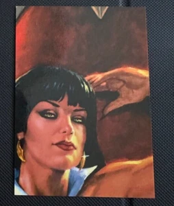 VAMPIRELLA 2011 TRADING CARDS PUZZLE CHASE CARD VP2 BREYGENT MARKETING - Picture 1 of 3