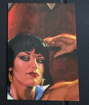 VAMPIRELLA 2011 TRADING CARDS PUZZLE CHASE CARD VP2 BREYGENT MARKETING - Image 1 of 3