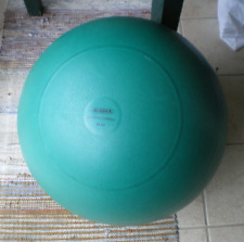 Russka Gymnastikball Ø 65 cm mit Übungsanleitung