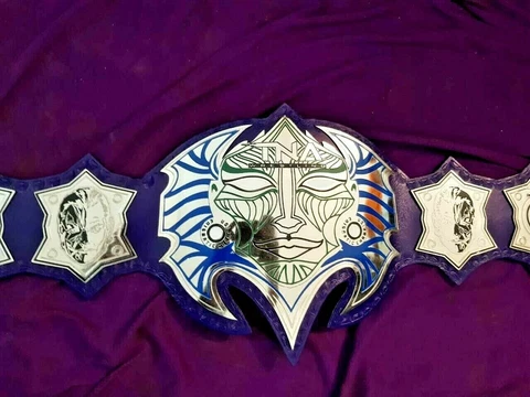 TNA Jeff Hardy Wrestling Championship Belt Adult Size 2mm Brass Plates Cover