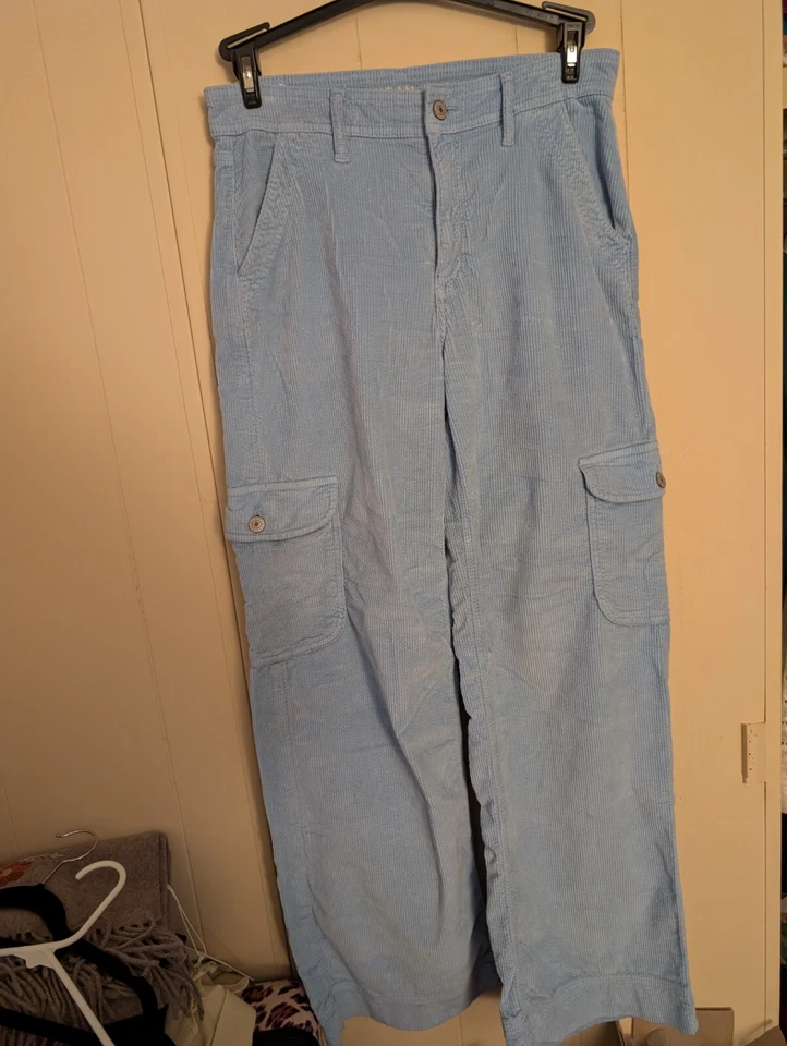 Женские вельветовые штаны-карго American Eagle Skater с высоким подъемом мешковатые широкие штанины размер 6  - Изображение 1 из 4