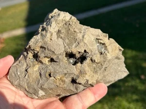 Herkimer Diamond Ace Crystal Grove Matrix New York Calcite Dolomit Quarz Druzy - Bild 1 von 24