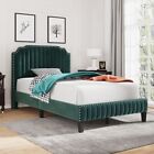 Modern Velvet Curved Upholstered Platform Bed , Solid Wood Frame , Nailhead Trim