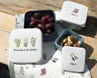 Glühbirne & Blüte Set 3 Nistkästen Kunststoff Lebensmittel Snack Behälter Geschenk für Gärtner