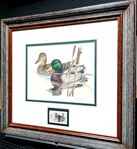 Larry Hayden 1981 Texas Waterfowl Duck Stamp Print W Stamp - Brand New Frame - Bild 1 von 5