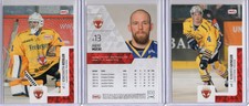 2017/18 DEL2 Playercards: Lausitzer Fuchse [Lot of 20]