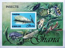 GHANA 1991 Block 182 S/S 1357 Insects Insekten Fauna Nature Lacetus MNH
