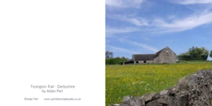 Greeting Card - Tissington Trail, #Derbyshire - blank inside 6" x 6" - Picture 1 of 3