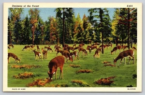 AK Hirschherde füttert Bewohner des Waldes Leinen um 1940 unbespielt - Bild 1 von 2