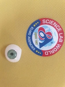 Ojo artificial - Imagen 1 de 5