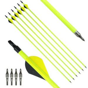 31" Carbon Arrows 2" Vane Spine 350-500 Compound Recurve Bow Hunting - Picture 1 of 9