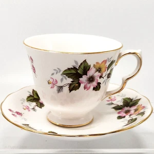 Queen Anne Hund Rose Tasse und Untertasse Set 6oz Weiß Bone China Gelb Rosa Wild - Bild 1 von 14