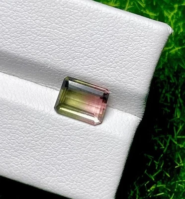 1.99CT Awesome Collection 100% Natural Bi Color Watermelon Tourmaline - Image 1 of 3