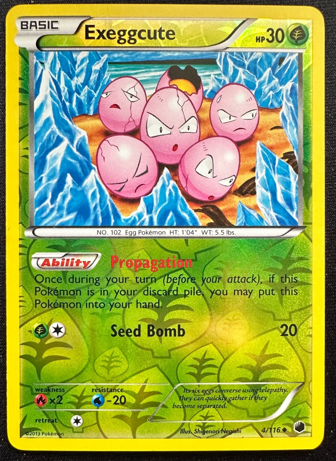 Pokemon TCG - EXEGGCUTE Plasma Freeze 4/116 Reverse Holo Uncommon - LP