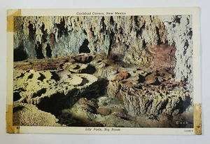 Lily Ponds Big Room Carlsbad Cavern, New Mexico - Unposted Postcard - NEW MEXICO - Picture 1 of 12