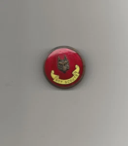 DISTINTIVO CAPPELLO Internazionale - Boy Scout BSA A142/T6 - Foto 1 di 2