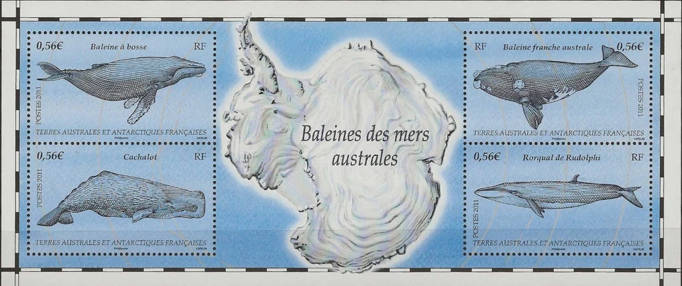 TAAF 2011 - Ballenas del Océano Austral - Hoja - MNH Foto 1 de 1