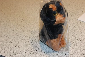 Ty Beanie Baby Brutus der Rottweiler Hund 2014 große Augen Version 6 Zoll rot gefüttert Etikett - Bild 1 von 5