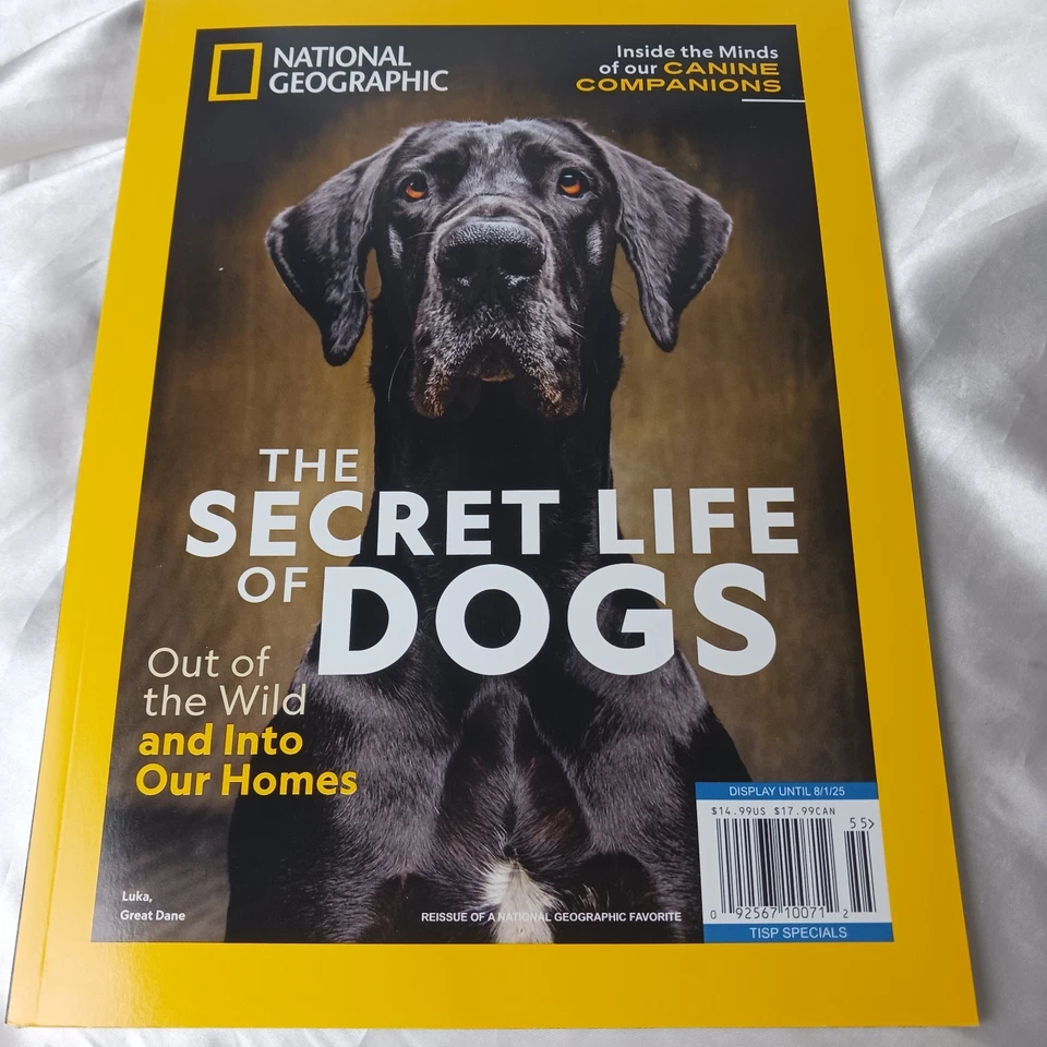 1998 Life OL Blue Eyes Commemorative Tribute Remembering Sinatra Book 61721