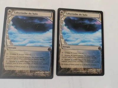 2 french Nimbus Maze Future Sight MTG Exc Free shipping with tracking - Image 1 of 2