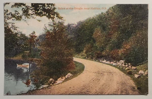 Drive in the Dingle, near Halifax, N.S. -DB Postcard - Bild 1 von 2
