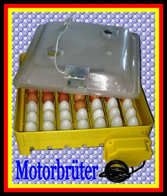 BOROTTO 109)Brüter-Brutgerät-Brutschrank-Brutautomat-Motorbrüter-Flächenbrüter-Inkubator